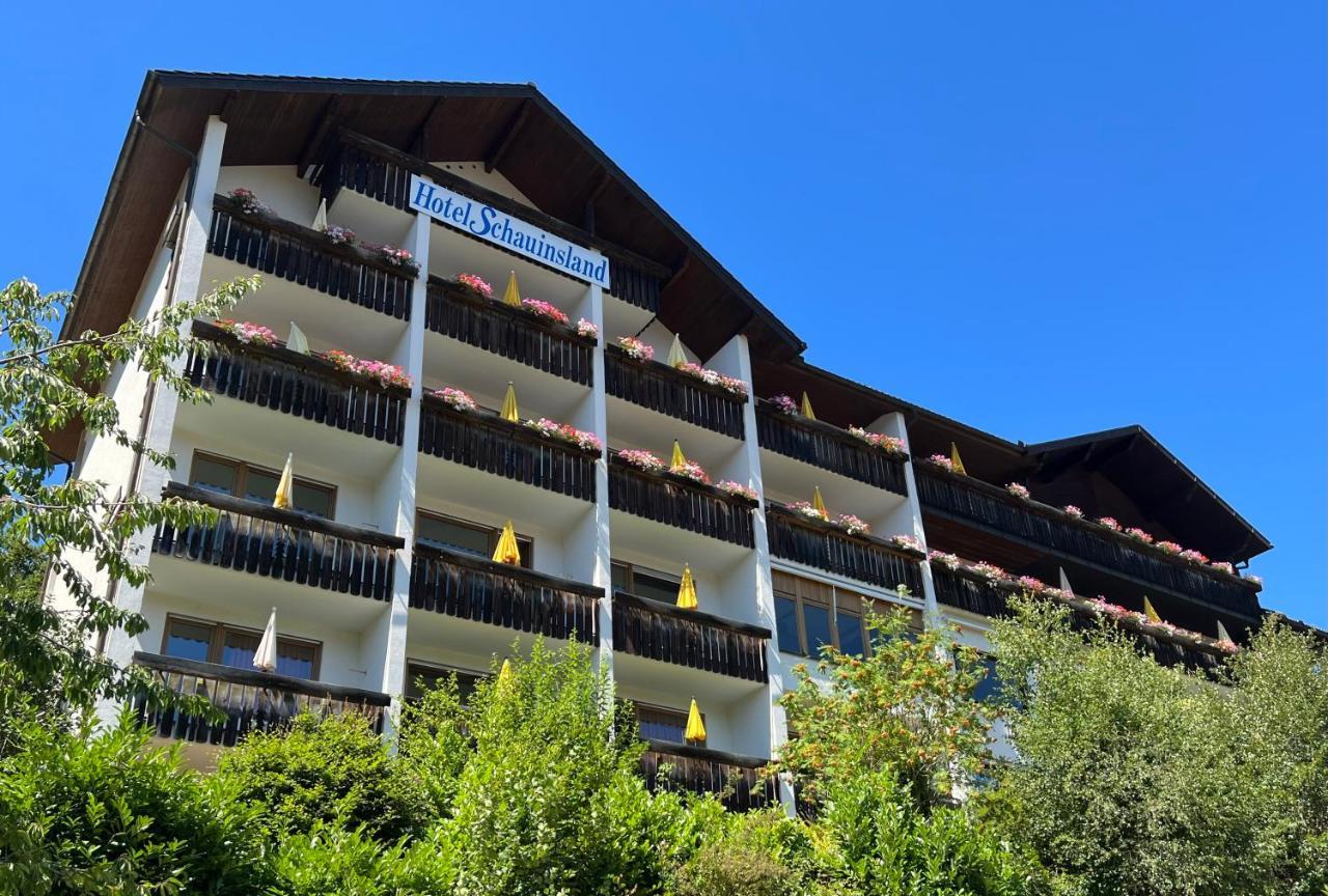 Hotel Schauinsland Бад-Петерсталь-Грисбах Экстерьер фото